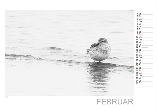 Cuxiland-Kalender